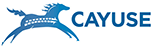 cayuse